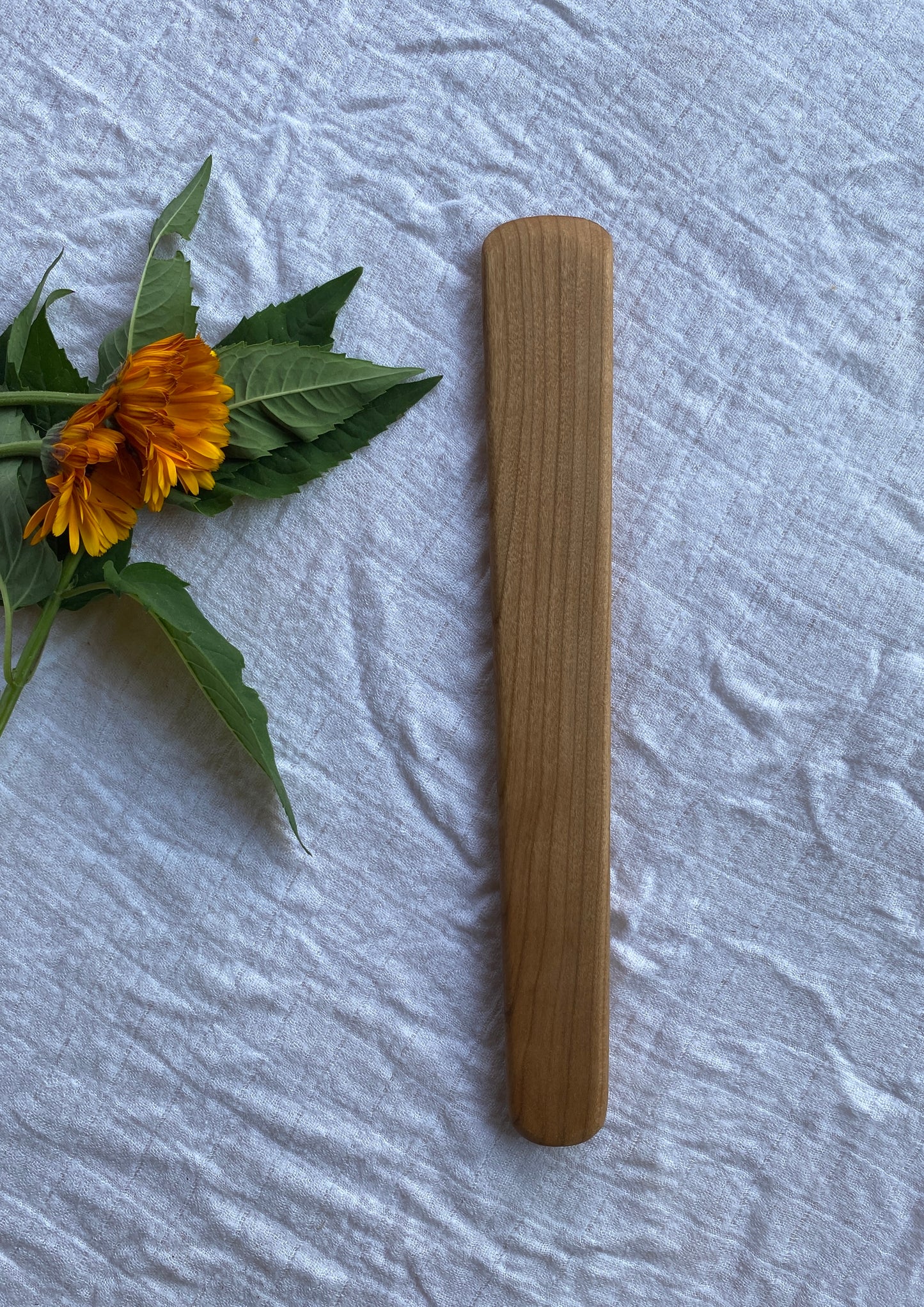 Short Spatula